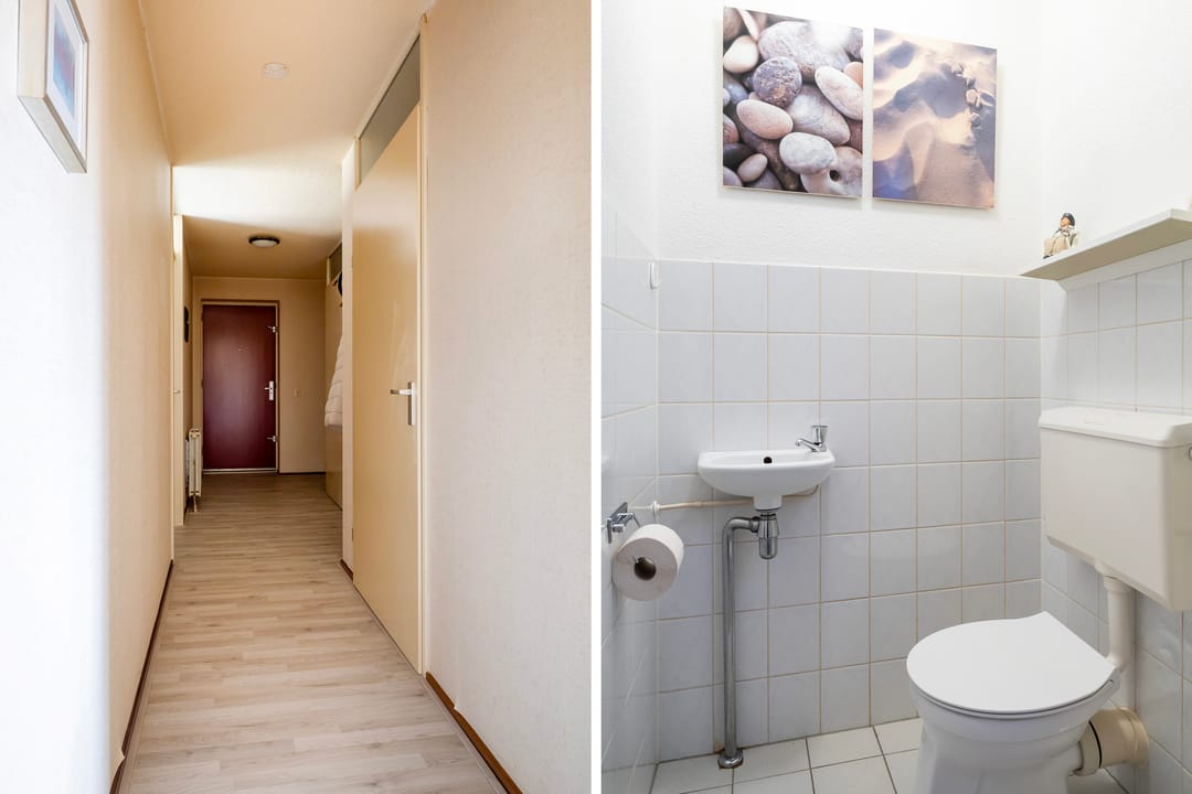 Foto 31 van Smeetsmastins 14