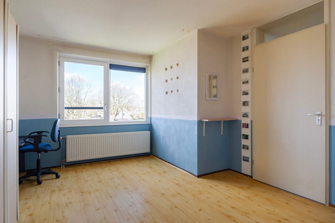 Foto 32 van Smeetsmastins 14