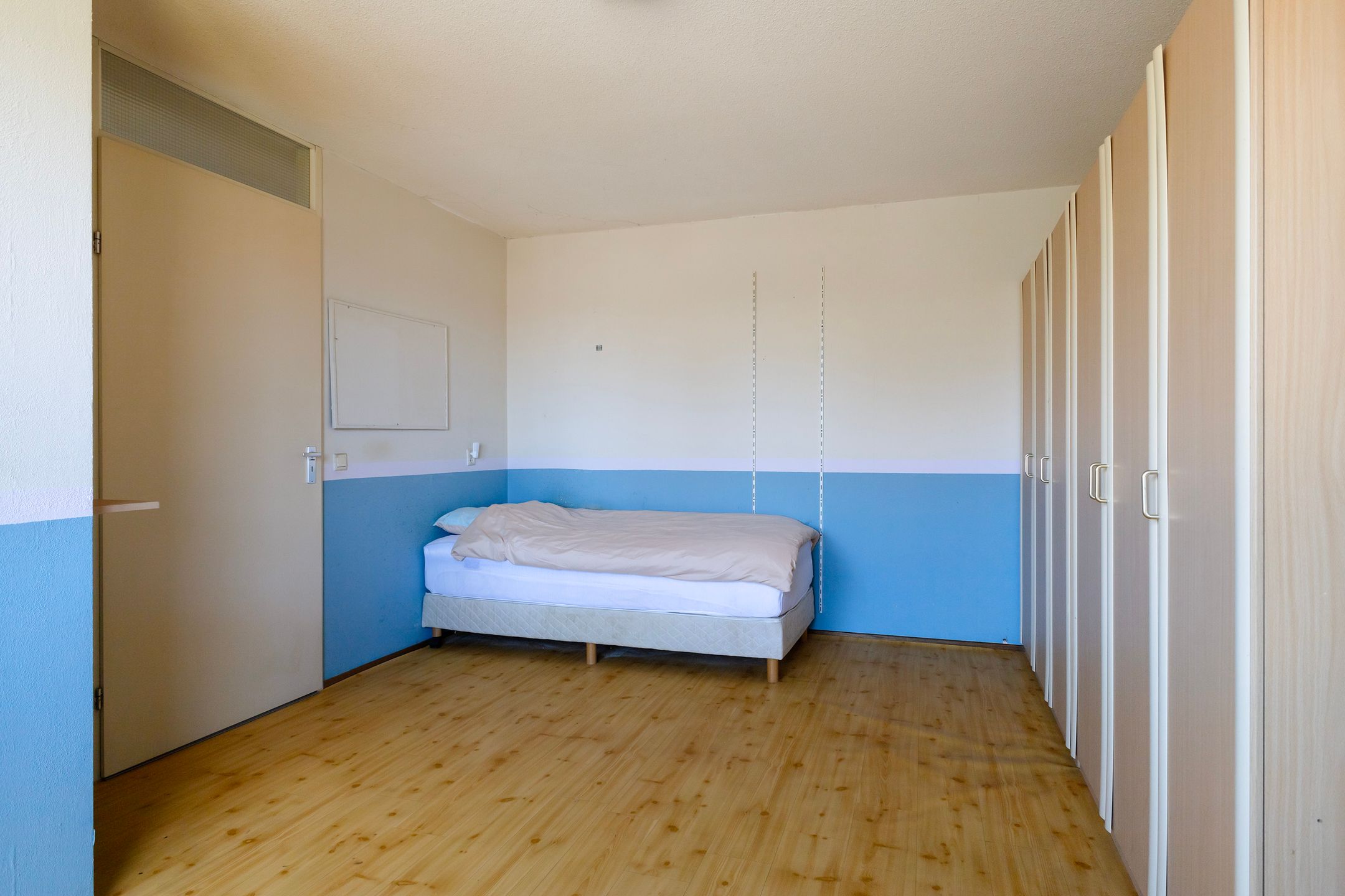 Foto 33 van Smeetsmastins 14