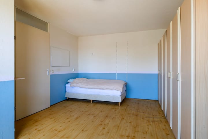 Foto 33 van Smeetsmastins 14