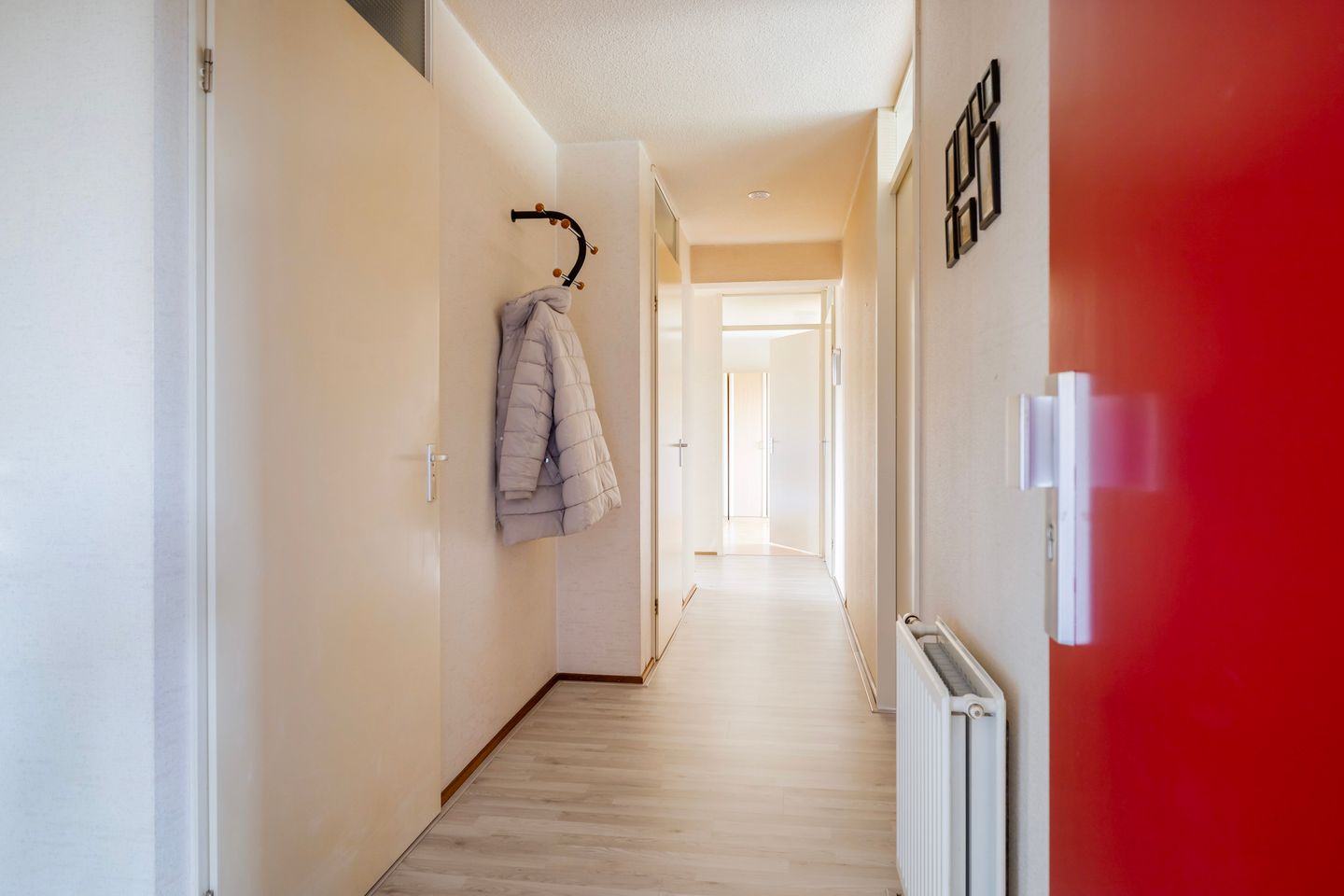 Foto 34 van Smeetsmastins 14