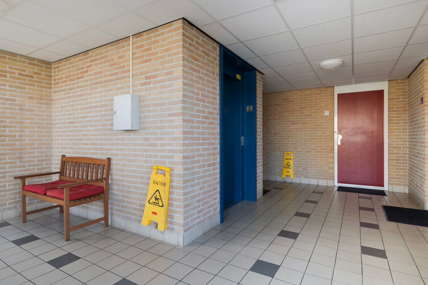 Foto 35 van Smeetsmastins 14