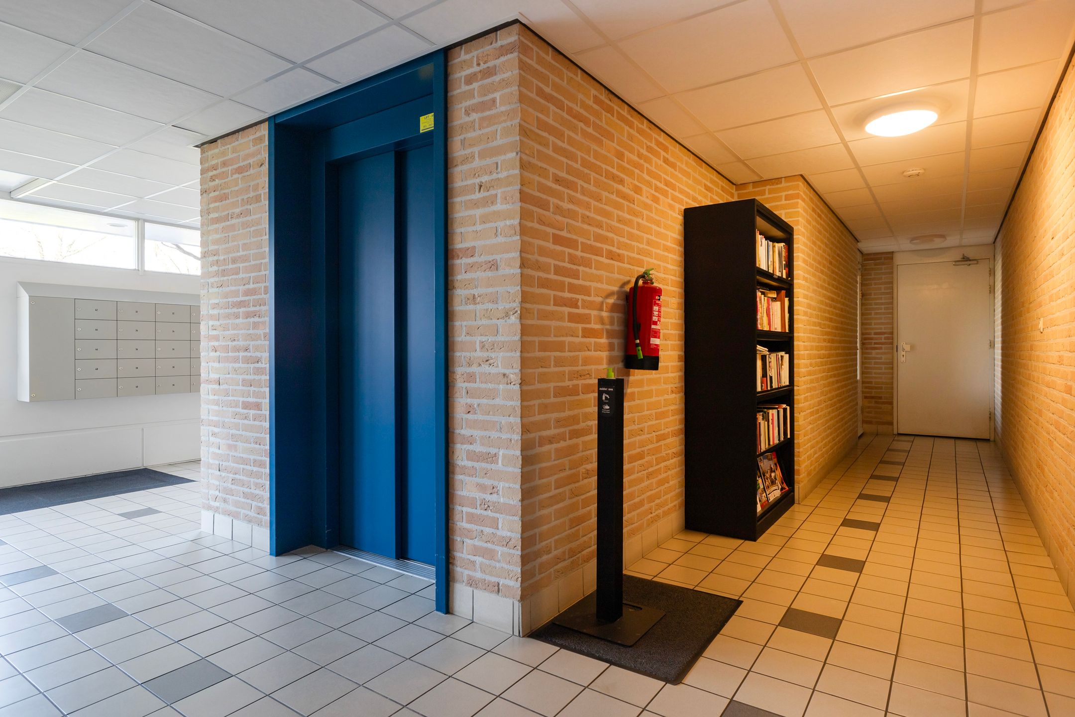 Foto 36 van Smeetsmastins 14