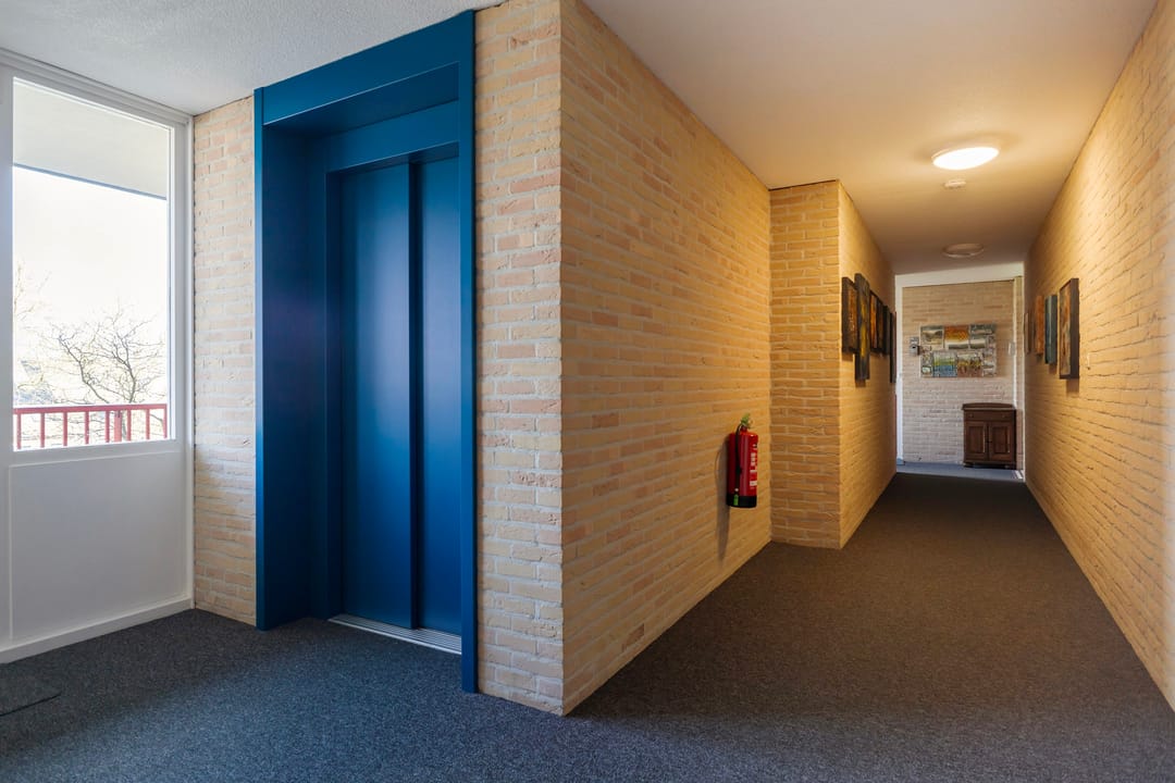 Foto 37 van Smeetsmastins 14