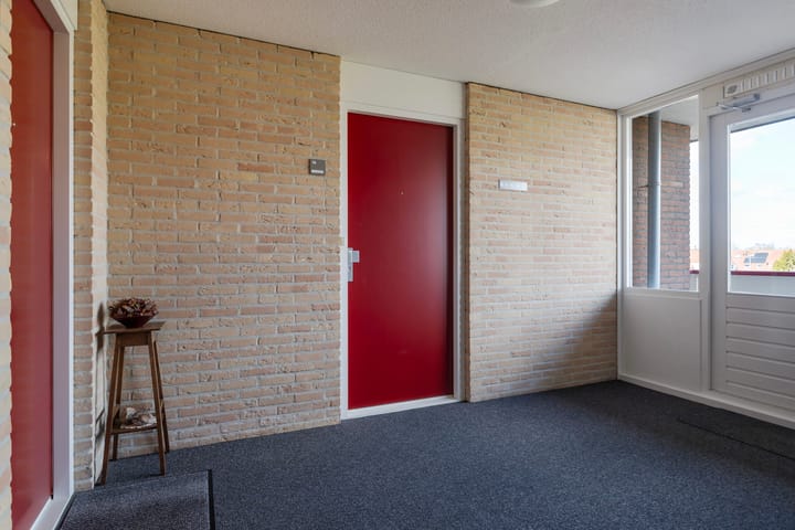 Foto 38 van Smeetsmastins 14