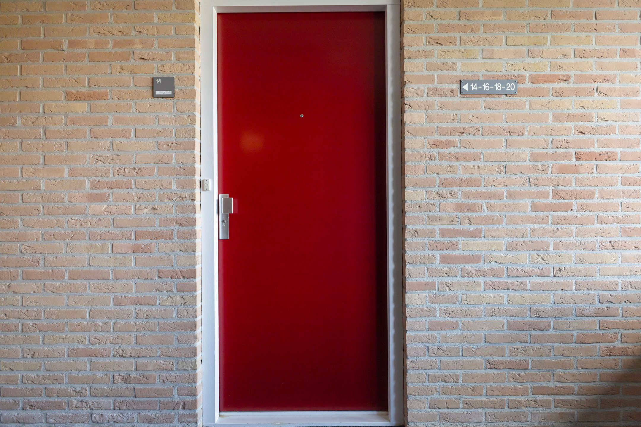 Foto 39 van Smeetsmastins 14