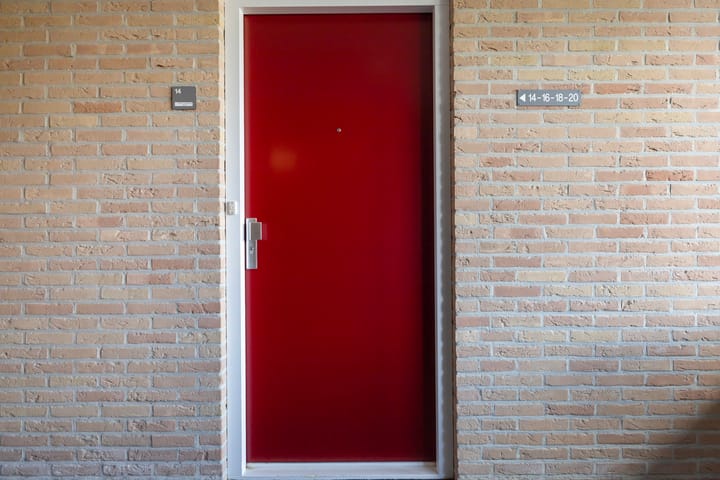 Foto 39 van Smeetsmastins 14