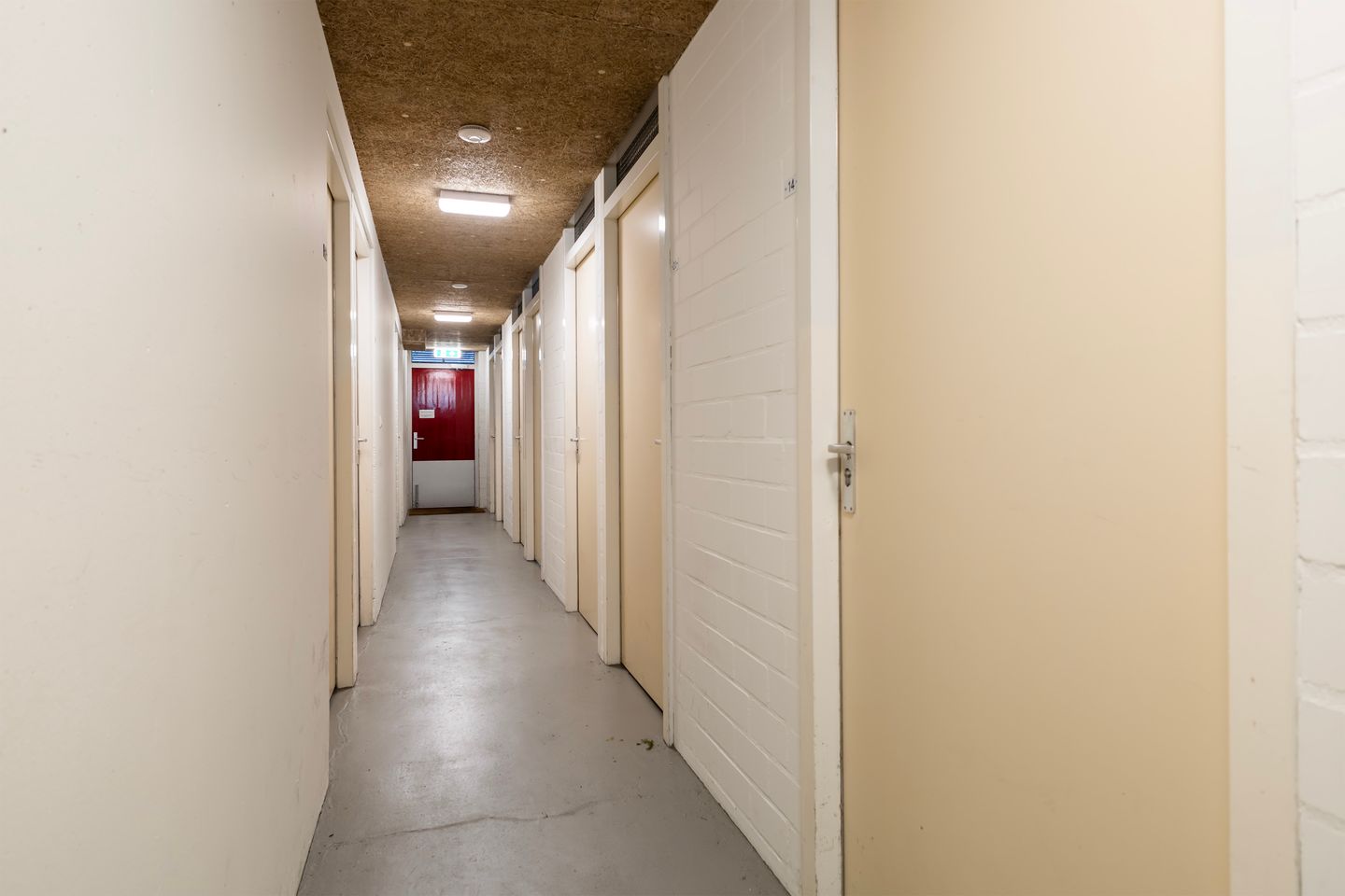 Foto 40 van Smeetsmastins 14