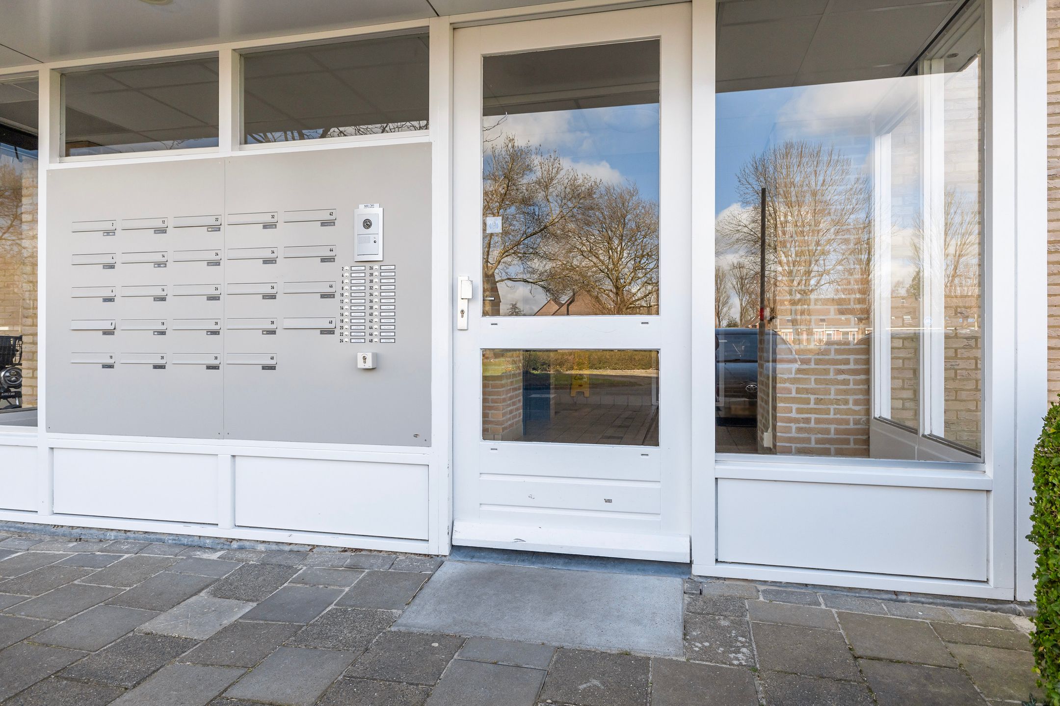 Foto 42 van Smeetsmastins 14