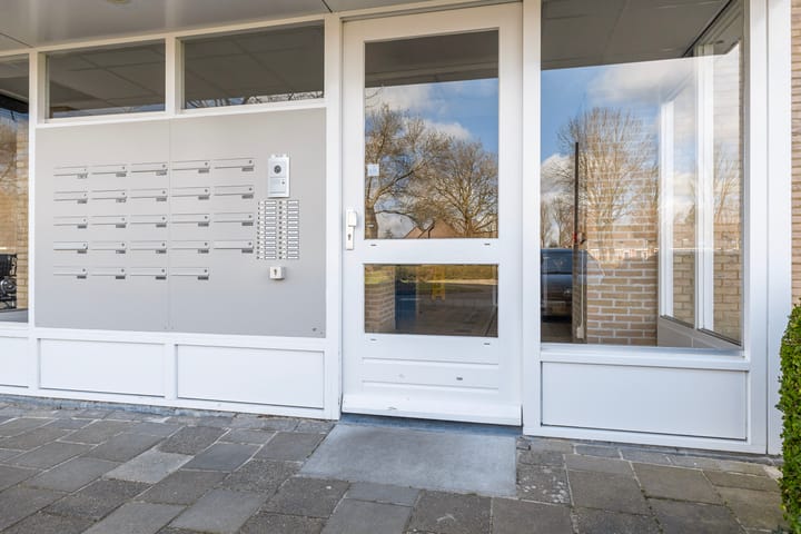 Foto 42 van Smeetsmastins 14