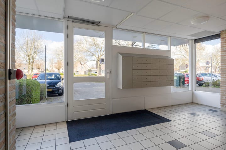 Foto 43 van Smeetsmastins 14