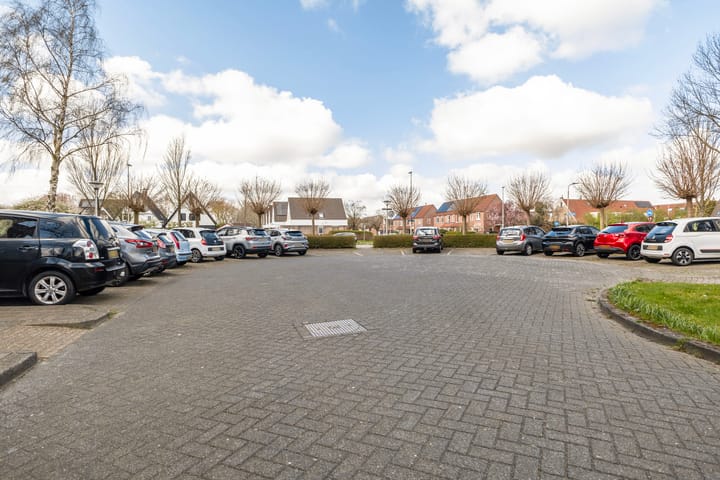 Foto 44 van Smeetsmastins 14