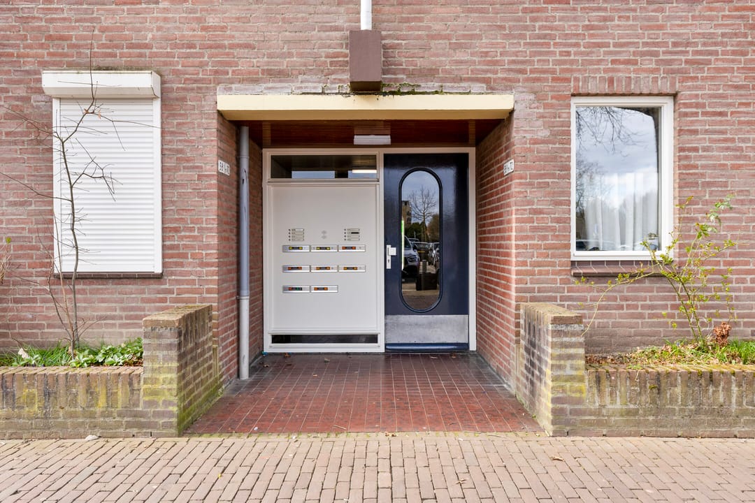 Foto 8 van Terwaenen 66