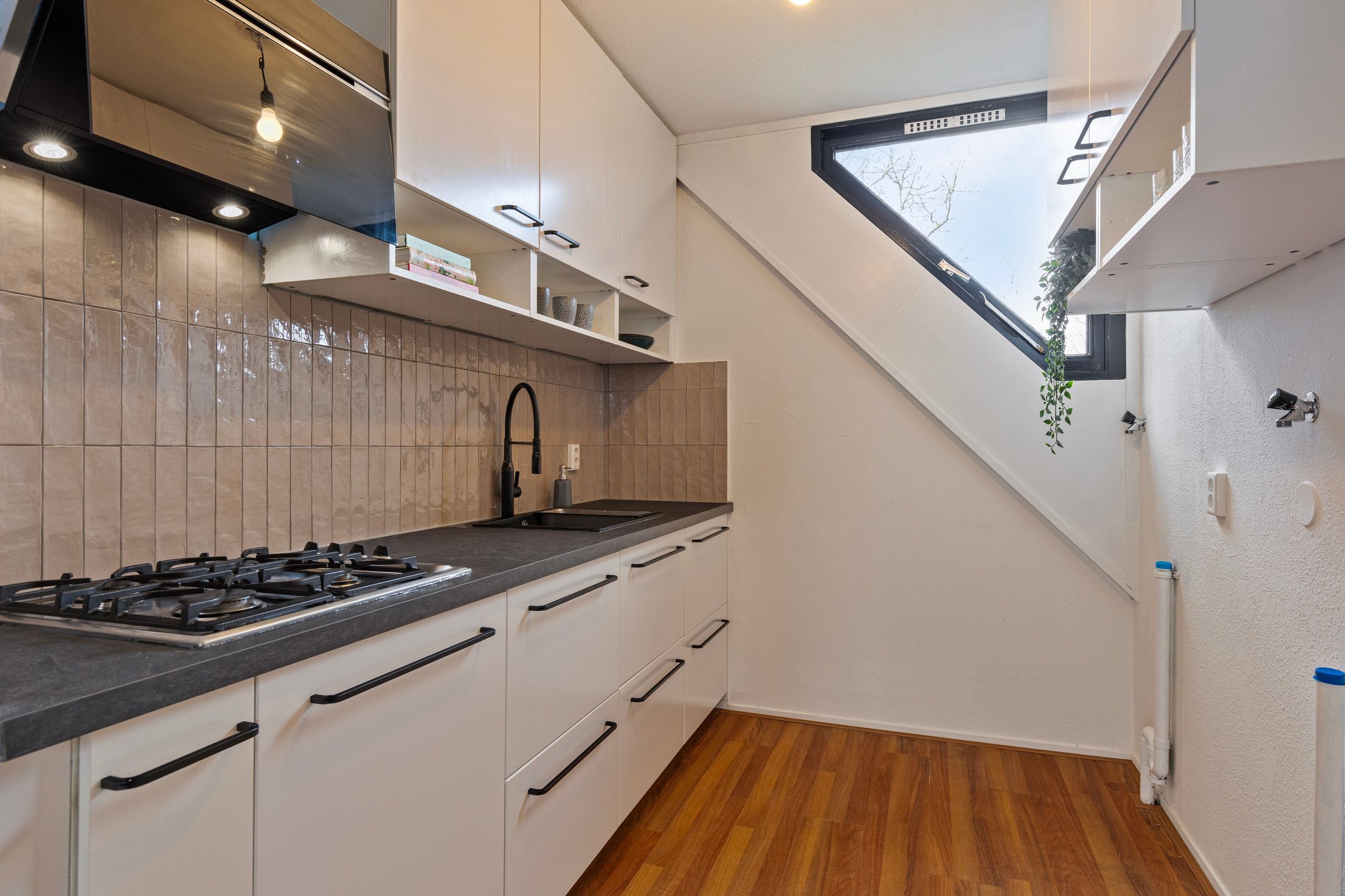 Foto 18 van Terwaenen 66