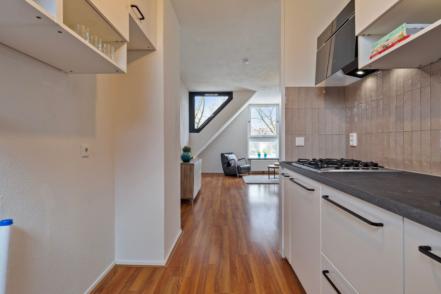 Foto 19 van Terwaenen 66