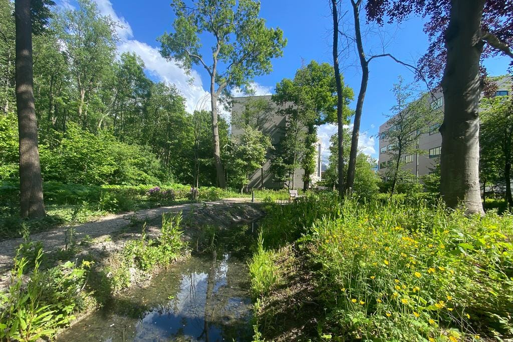 Foto 31 van Laan van Beens 1