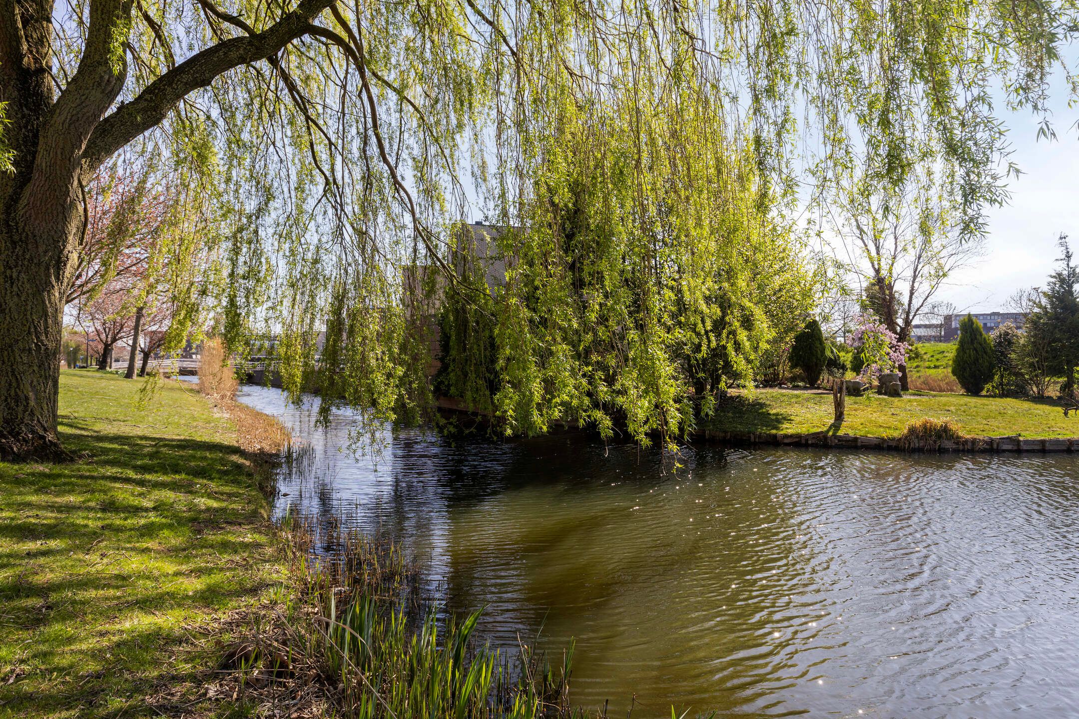 Foto 21 van Sneekermeer 23