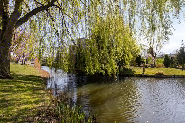 Foto 21 van Sneekermeer 23