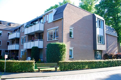 Ittmannserf  main image