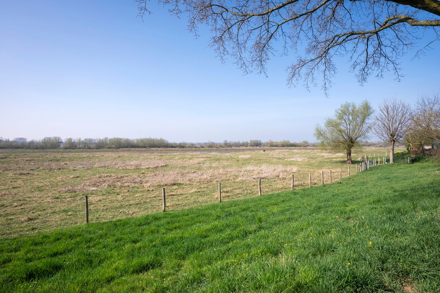 Photo 4 of Dijk 23-A