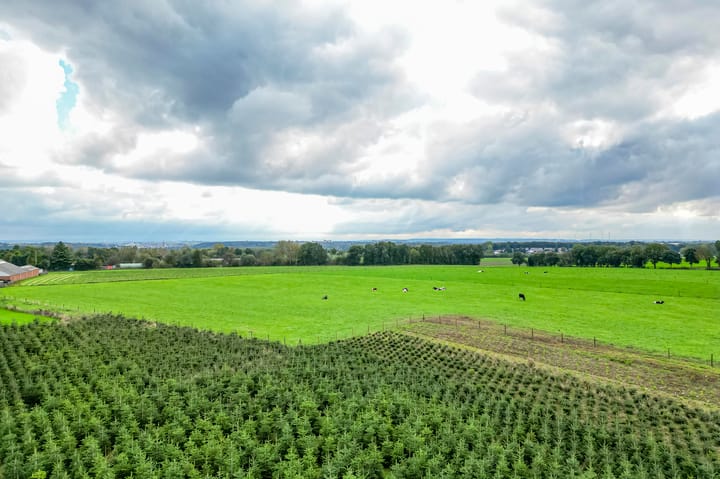 Foto 44 van Groenstraat 128