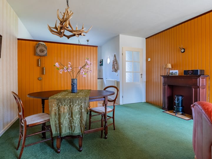 Foto 8 van Swaenepol 32