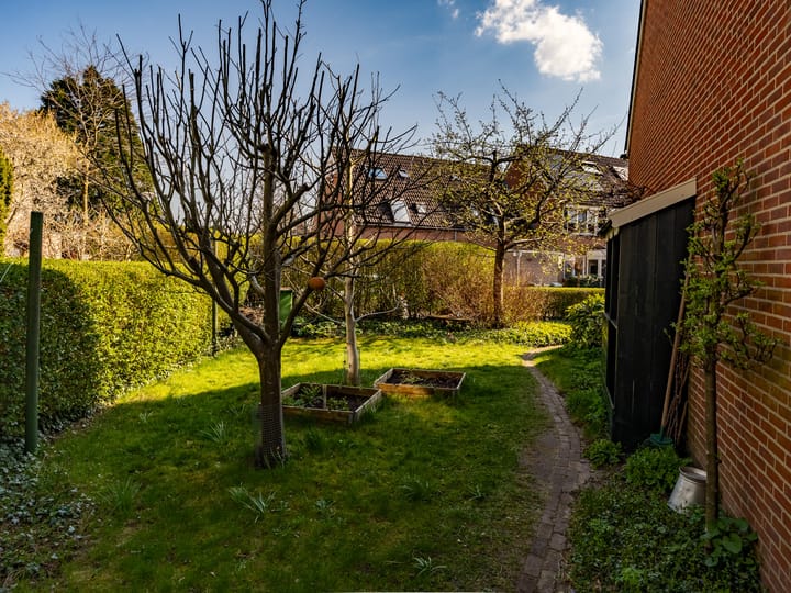 Foto 25 van Swaenepol 32