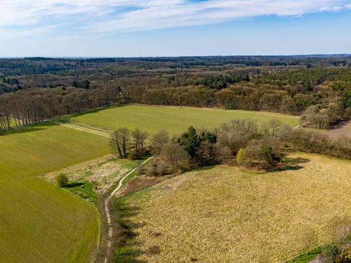 Foto 30 van Swaenepol 32