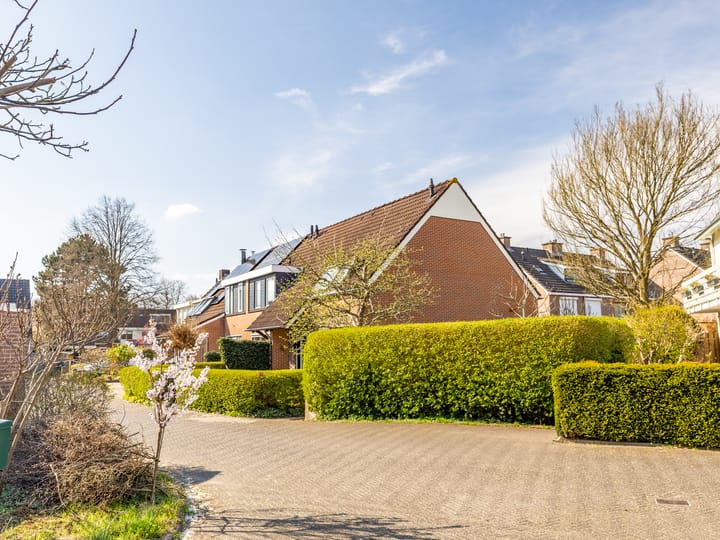 Foto 32 van Swaenepol 32