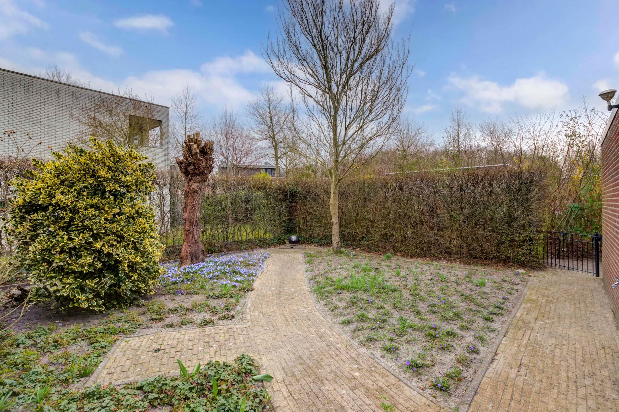 Foto 42 van Aardappelland 25