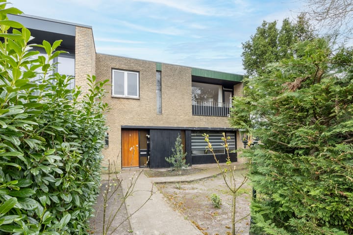 Foto 4 van Witte de Withlaan 4