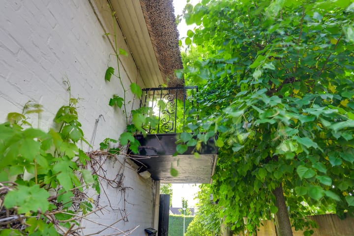 Foto 50 van Oude Bredaseweg 98