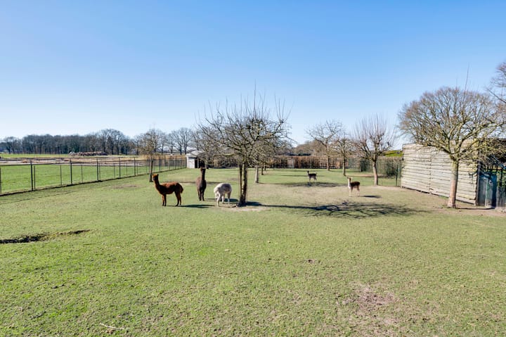 Foto 33 van Meijelsedijk 113