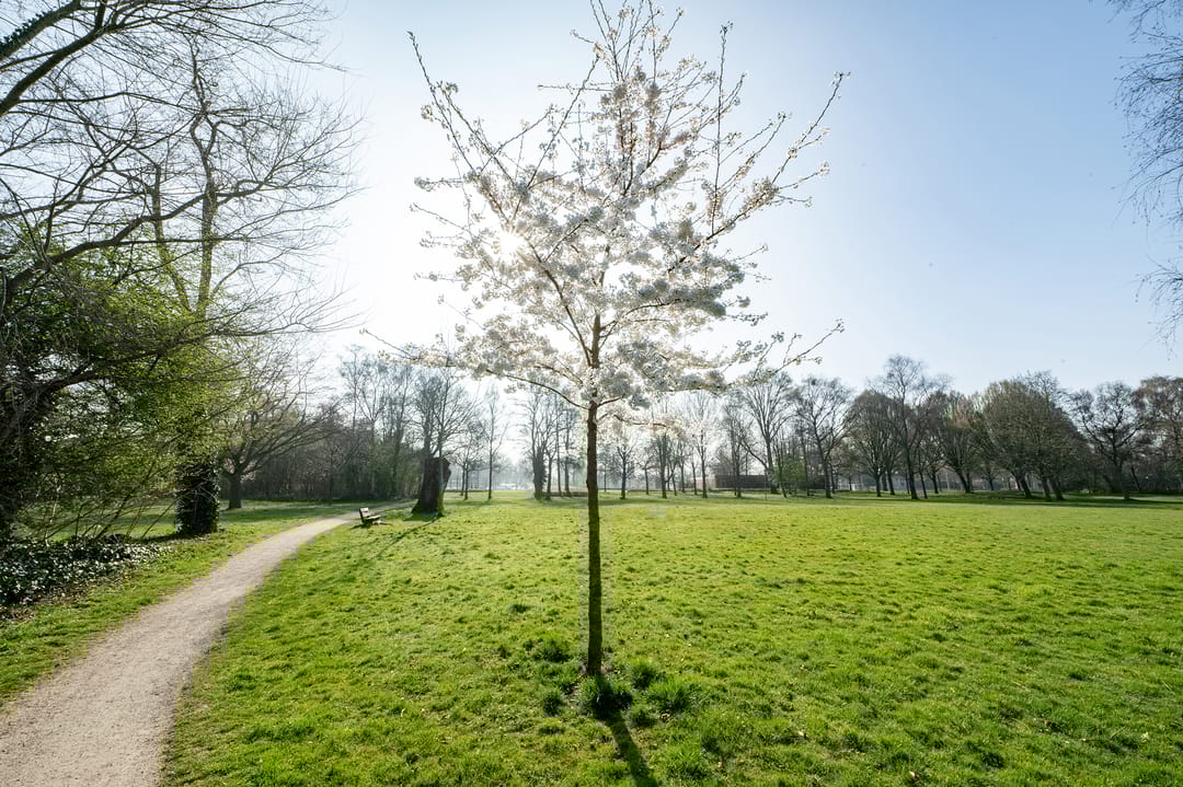 Foto 16 van Ruusbroecstraat 48