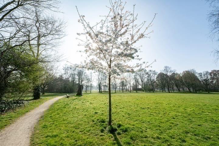 Foto 16 van Ruusbroecstraat 48