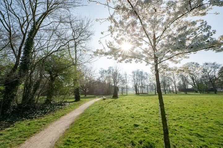 Foto 17 van Ruusbroecstraat 48