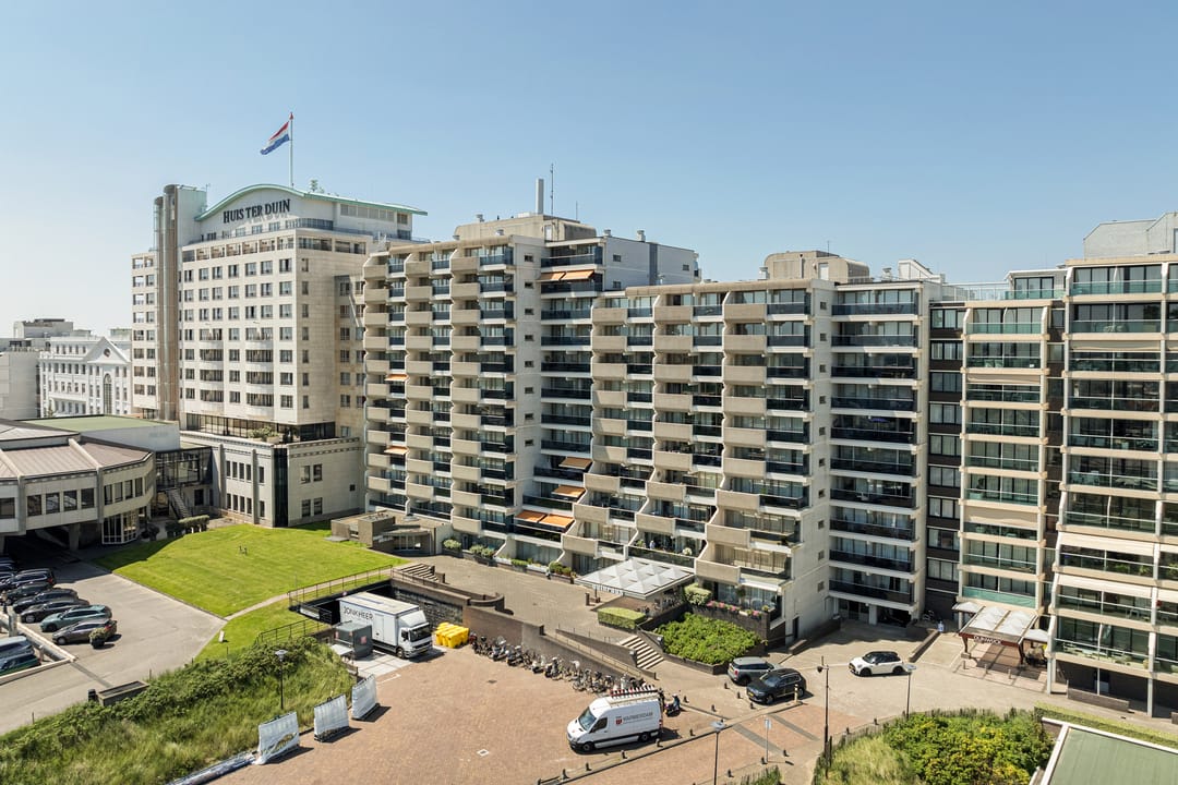 Foto 2 van Duinroos 54