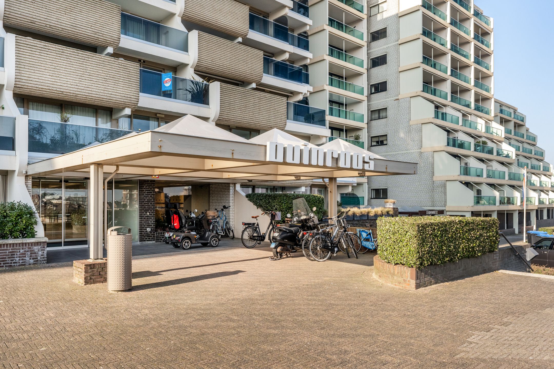 Foto 3 van Duinroos 54