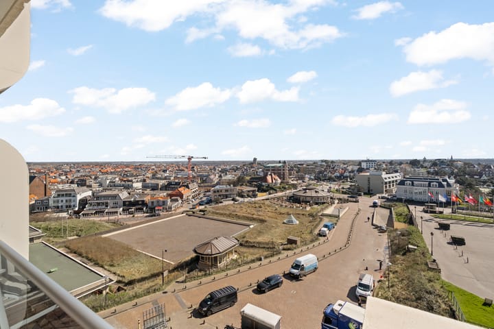 Foto 7 van Duinroos 54