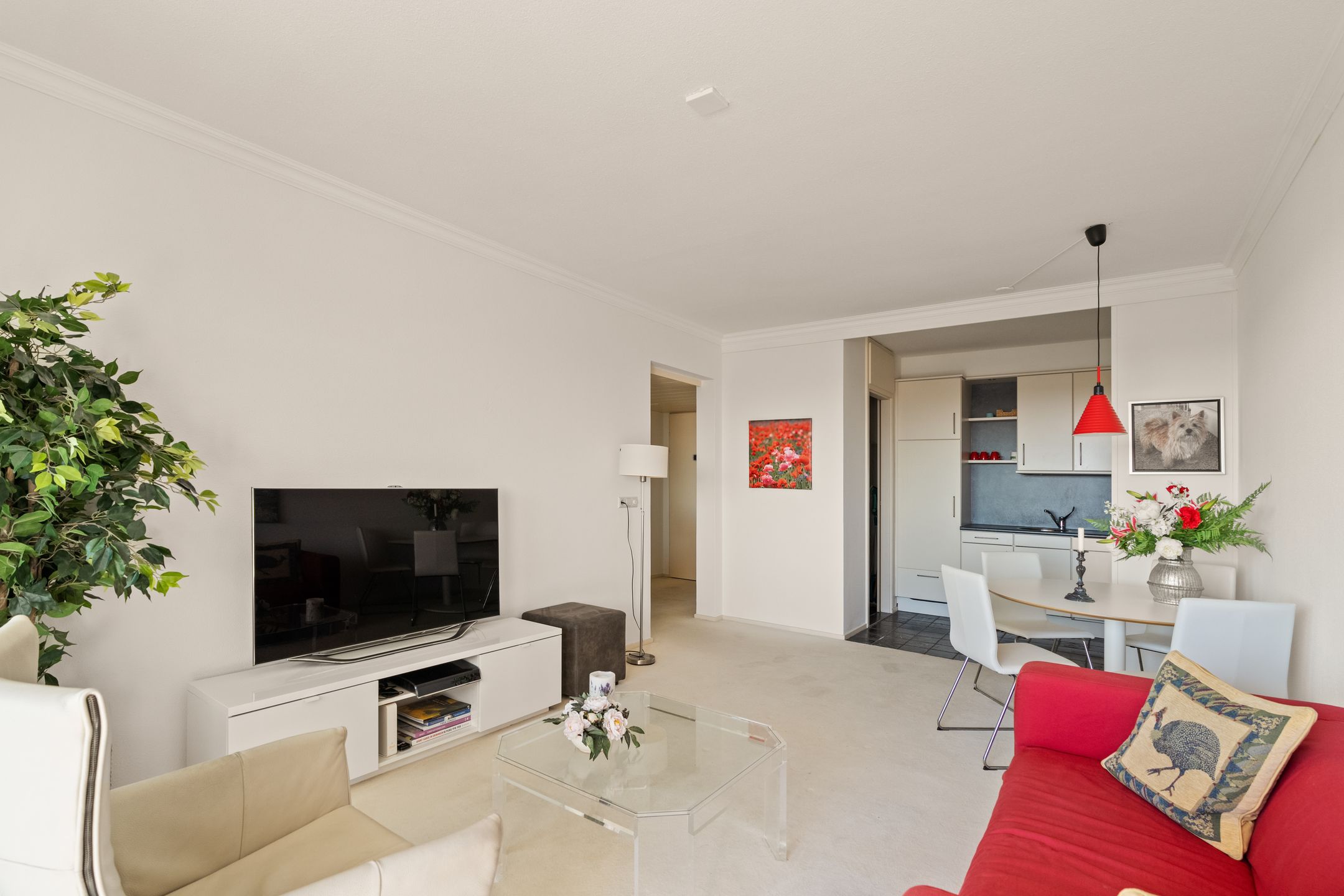 Foto 9 van Duinroos 54