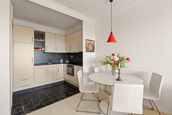 Foto 11 van Duinroos 54