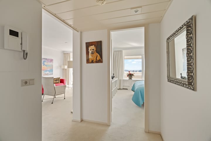 Foto 13 van Duinroos 54