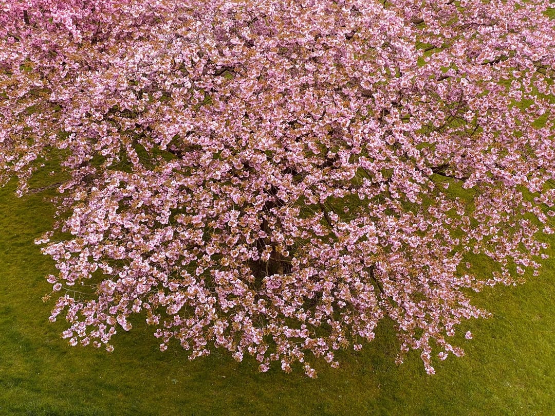 Foto 46 van Vechtplantsoen 16-4