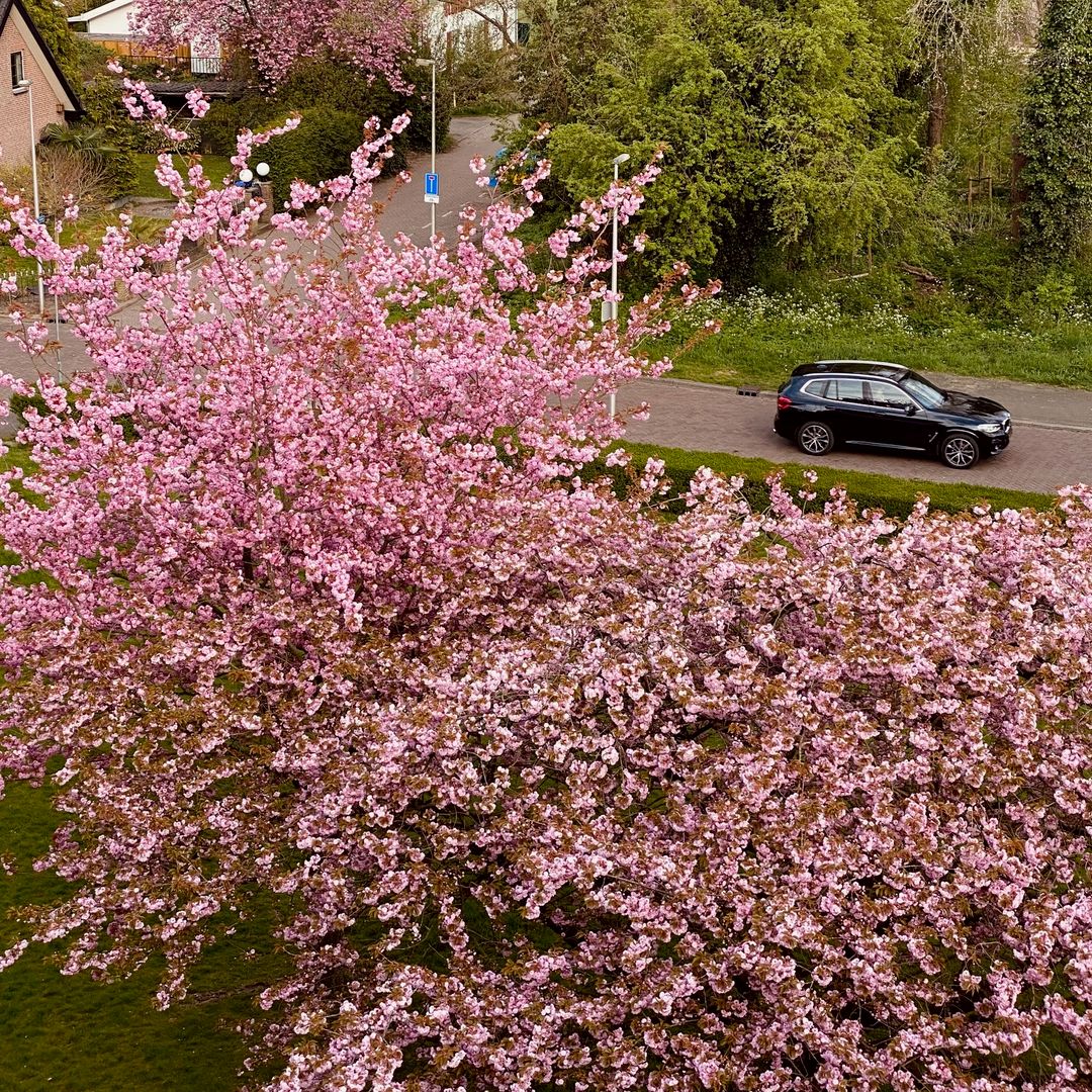 Foto 47 van Vechtplantsoen 16-4