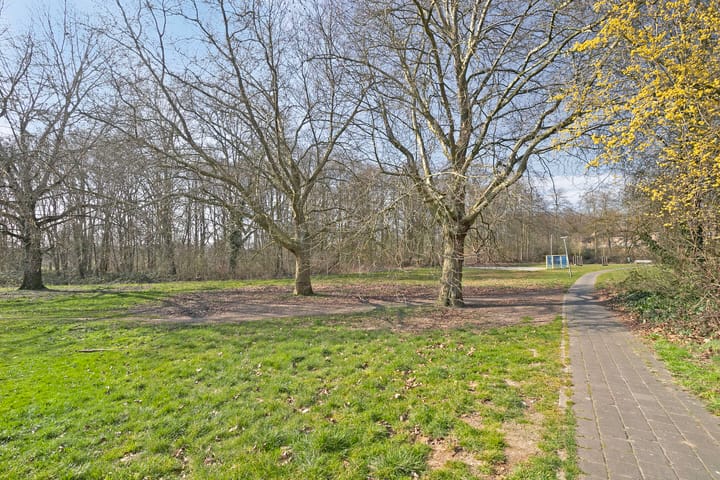 Photo 37 of Horstacker 2010