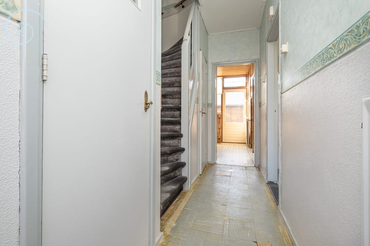 Photo 6 of Hoge Pad 31