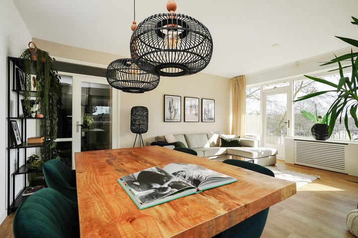 Foto 9 van Hendrinaland 30