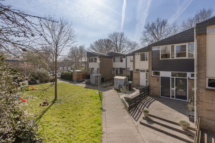 Foto 1 van Van Drielstlaan 74