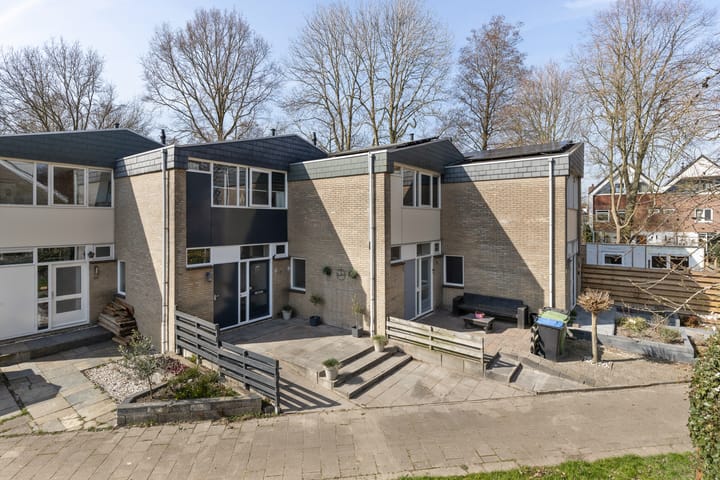 Foto 4 van Van Drielstlaan 74