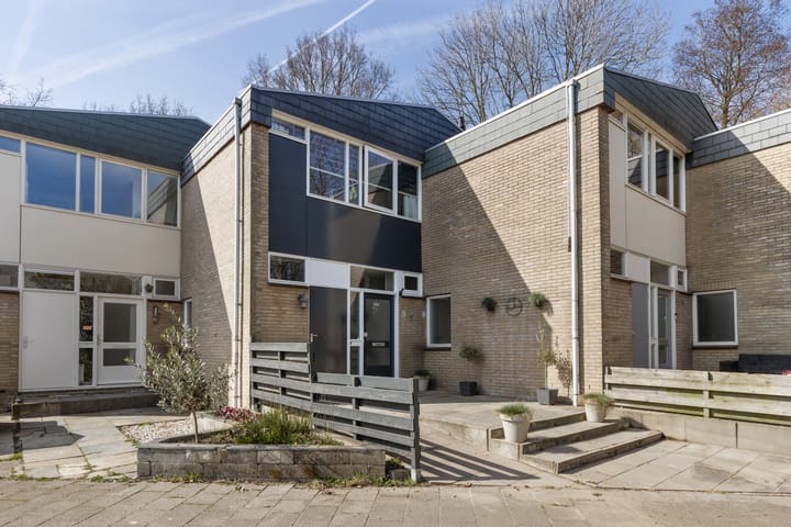 Foto 5 van Van Drielstlaan 74